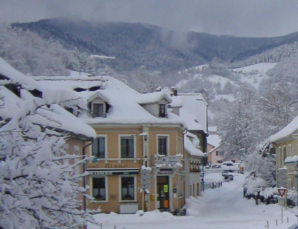 Hotel Au Cheval Blanc à Saint-Amarin Extérieur photo